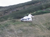 Grand-albatros-et-son-poussin.jpg